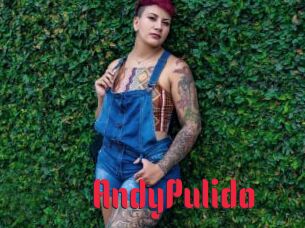 AndyPulido