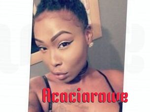 Acacia_rowe