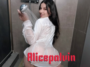 Alicepalvin