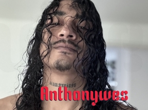 Anthonywes