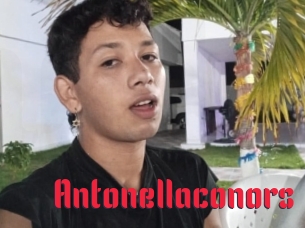 Antonellaconors