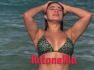 Antonellla