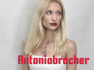 Antoniabracher