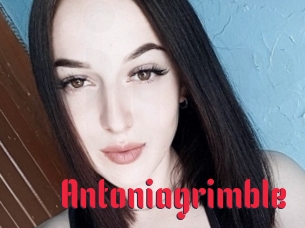 Antoniagrimble