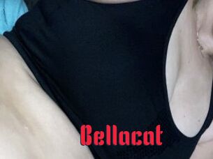 Bellacat