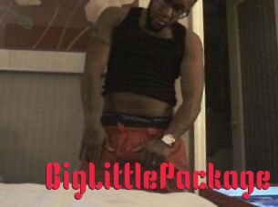 BigLittlePackage