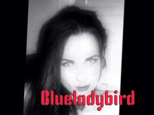 Blueladybird