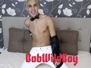 BobWildBoy