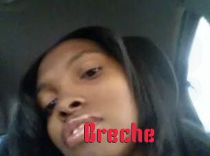 Breche