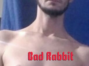 Bad_Rabbit