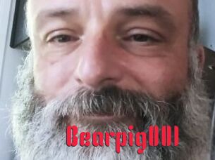 Bearpig001