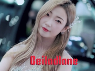 Beiladlane