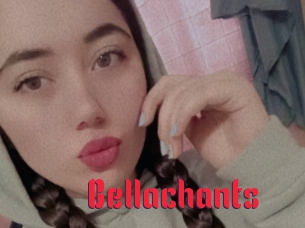 Bellachants