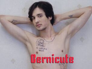 Bernicute