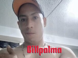 Billpalma