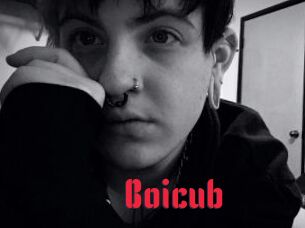 Boicub