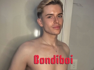 Bondiboi