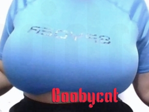 Boobycat