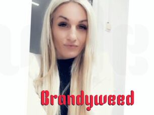 Brandyweed