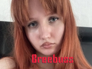 Breebuss