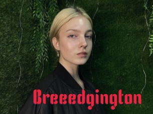 Breeedgington