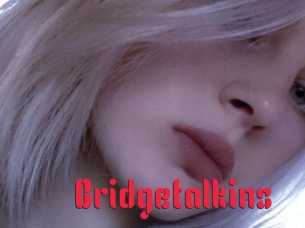 Bridgetalkins