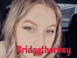 Bridgetharkey