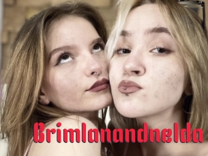 Brimlanandnelda