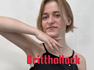 Britthallock