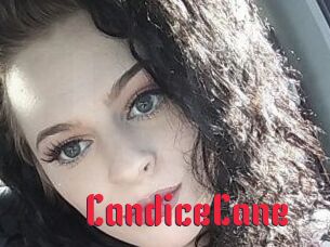 Candice_Cane