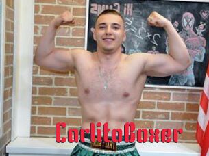 CarlitoBoxer