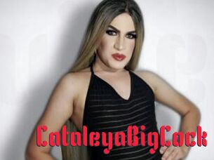 CataleyaBigCock