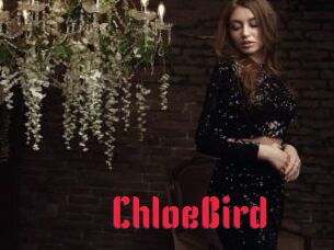 ChloeBird