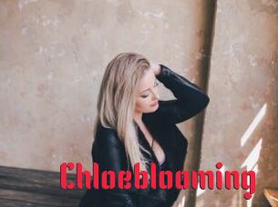 Chloeblooming