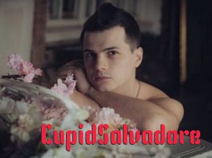 CupidSalvadore