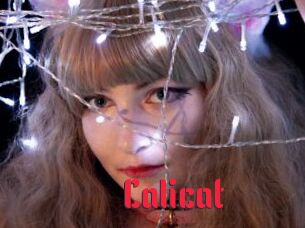 Calicat