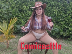 Camicasttle