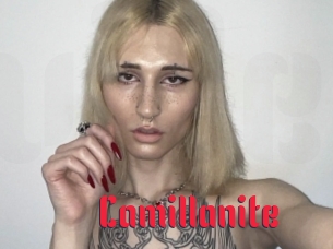 Camillanite