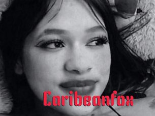 Caribeanfox