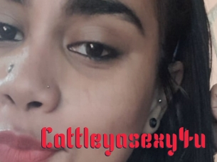 Cattleyasexy4u