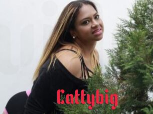 Cattybig