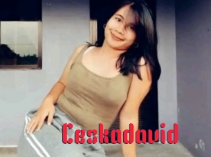 Ceskadavid