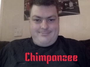 Chimpanzee