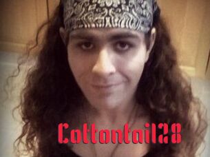 Cottontail28