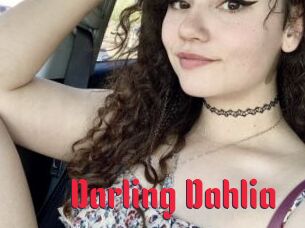 Darling_Dahlia