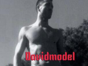 Davidmodel