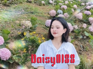 Daisy0188