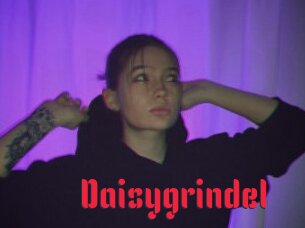 Daisygrindel