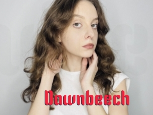 Dawnbeech