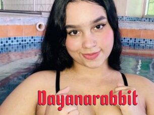 Dayanarabbit